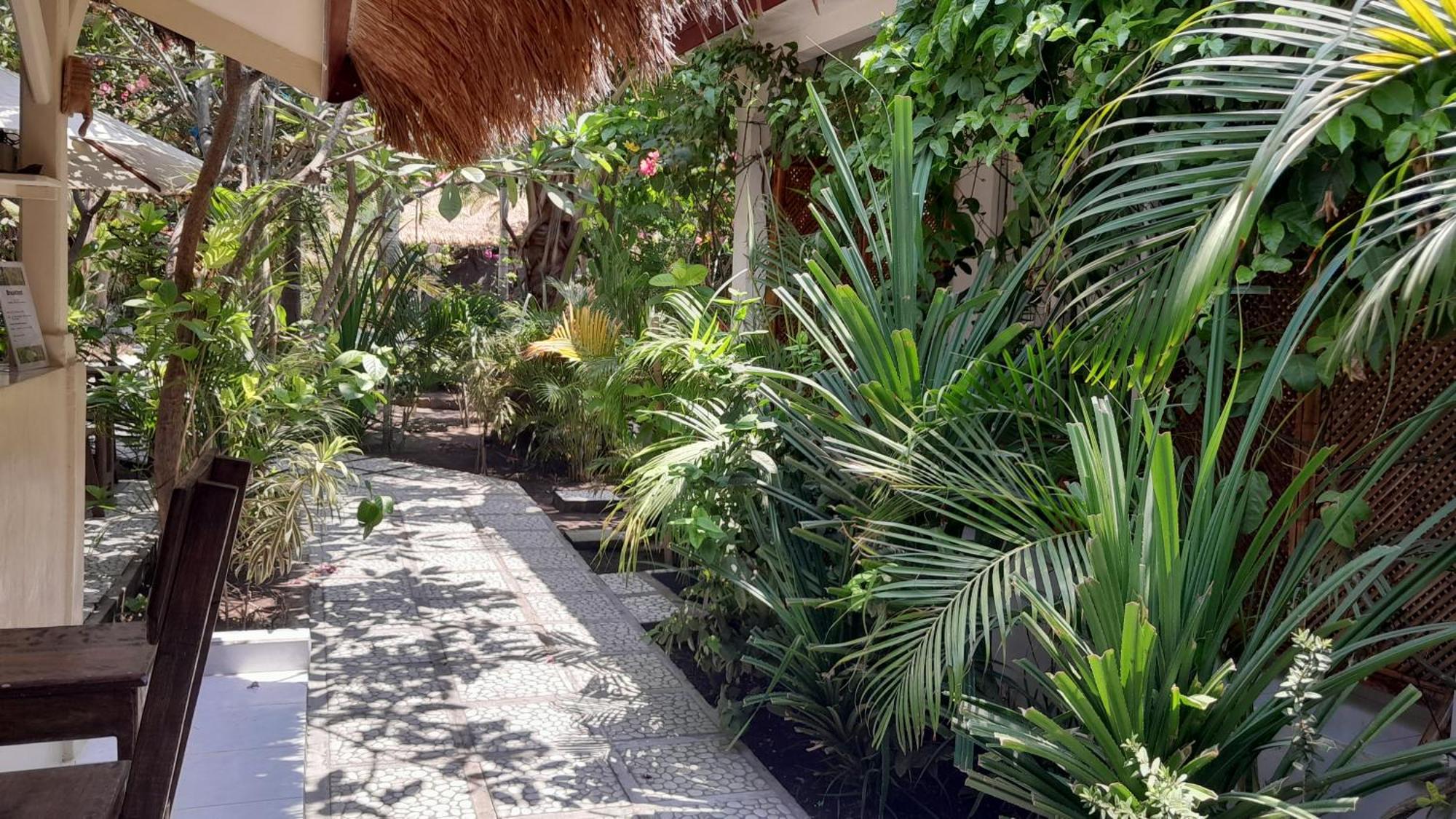 Wombat'S B&B Gili Trawangan Eksteriør bilde